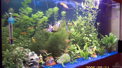 Becken 3409 von Jochen Engelmann