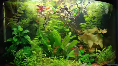 Becken 34169 von Heike Fuchs