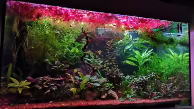 Becken 34170 von Heike Fuchs