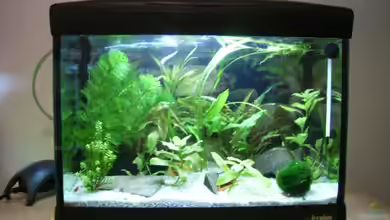 Becken 3425 von Carsten Meyborg