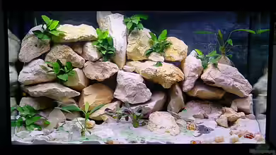 Becken 3452 von rhauk