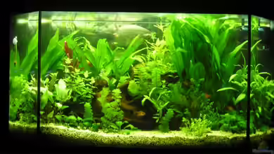 Becken 3468 von 22345bf45345