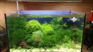 Becken 3480 von Marc Joist