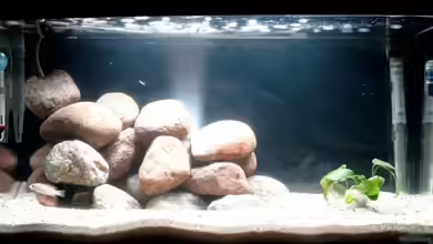 Becken 3489 von Johannes Loers