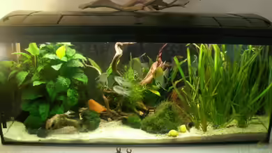 Becken 3492 von Monika Riedel