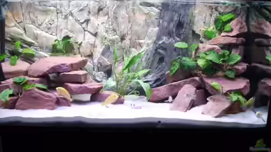 Becken 3493 von Klaus Simon