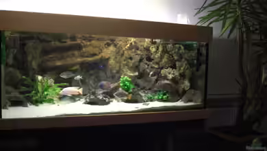 Becken 3500 von Stephan Ascher