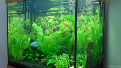 Becken 3510 von Oliver Kemna