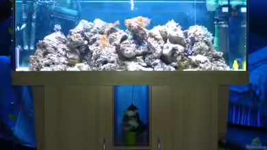 Becken 3532 von Heiko Kunzweiler