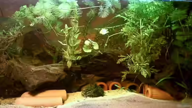 Becken 3563 von Jana Gelfort