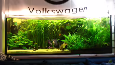 Becken 3578 von Sebastian Schalk