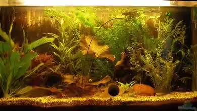 Becken 3582 von Maja Knodel