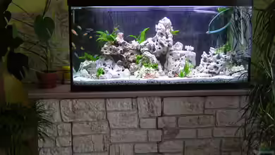 Becken 359 von Frank Faselt