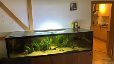 Becken 36089 von Kevin De Fries