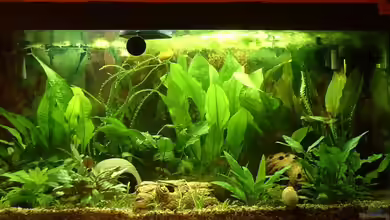 Becken 3615 von Marco Schumacher