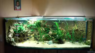 Becken 3694 von Heiko Schrandt