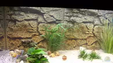 Becken 3751 von Mirko Pillep