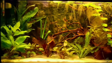 Becken 3771 von Christian Heitmann