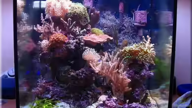 Becken 3826 von Petra Kallmeyer