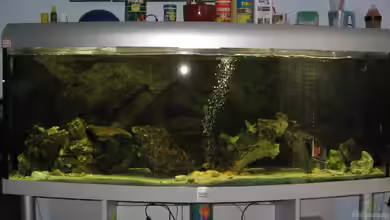 Becken 3836 von Axel Borck