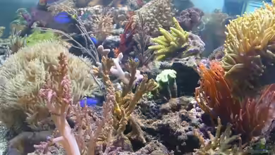 Becken 3844 von Lars Leonhardt