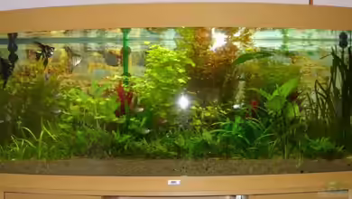 Becken 3870 von Nico Schunter