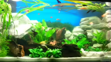 Becken 3893 von Thomas Pirner