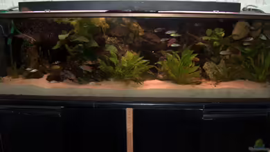 Becken 395 von Stanislav Kislyuk