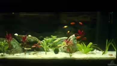 Becken 3966 von Michael Weyerts