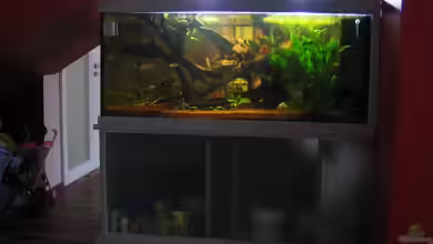 Becken 3967 von Martina Schneider