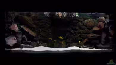 Becken 3989 von Michael Götz