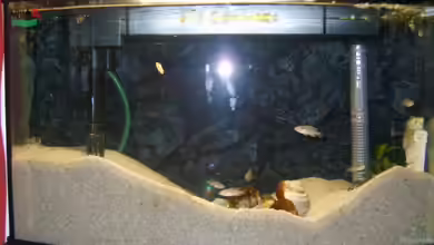 Becken 4076 von Matthias Söldner