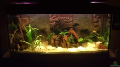 Becken 4247 von Michael Bamberger