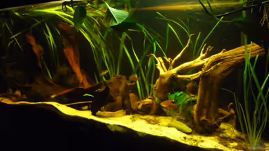 Becken 4345 von Markus Dinter