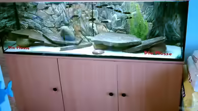 Becken 4357 von Mario Fricke