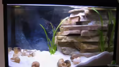 Becken 4366 von Tobias Kaup