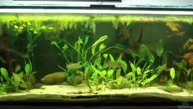 Becken 4368 von Volker Hebestreit