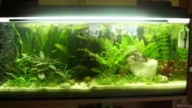 Becken 4381 von Marcel Wilke