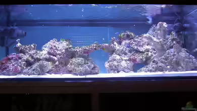 Becken 4394 von Torben Alsmeyer