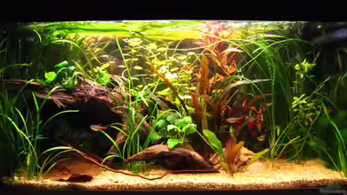 Becken 4402 von André Martin