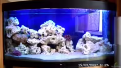 Becken 4409 von Sabine Krüger