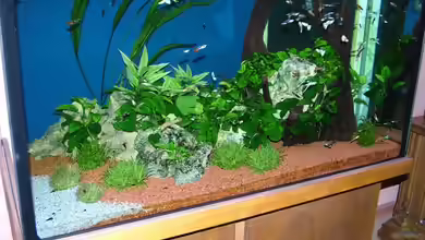 Becken 4424 von Manfred und Heidi Reis