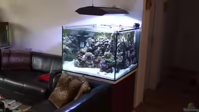 Becken 4431 von Sascha Bill