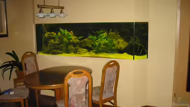 Becken 449 von Andreas Pape