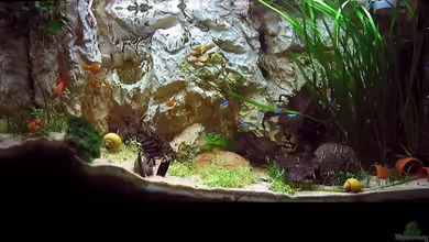 Becken 4513 von Dennis Klusmann