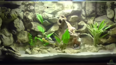 Becken 4523 von Christian Müller