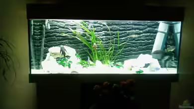 Becken 4553 von Jonny84