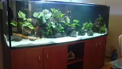 Becken 4575 von Steffen Lehner