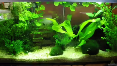 Becken 4598 von Monika Maier