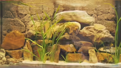 Becken 4622 von Manuel Huemer